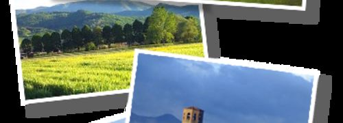Cartoline / Flyers