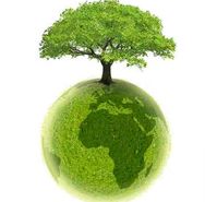 logo riciclato terra.jpg