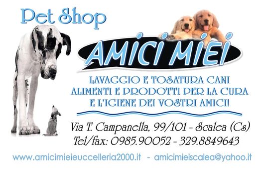 1000 b.v. PLASTIF - fr AMICI MIEI.jpg
