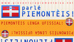 ADESIVI RETTANGOLO 2,5 cm x 7,4 cm