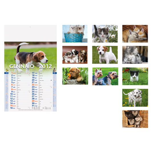CANI E GATTI   completo di stampa a 4 colori