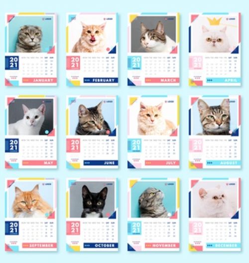 Calendario personalizzato 2021 con le tue foto 30x43,5 cm. Sfondo azzurro Copertina + 12 Mesi 13 Pagine