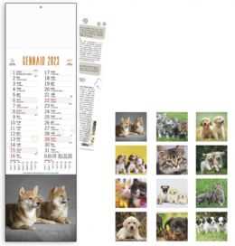 ANIMALI - MODELLO SLIM S