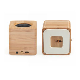 SPEAKER LEGNO 2.jpg