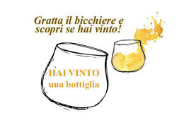 10 pezzi_grappa bottiglia copia.jpg