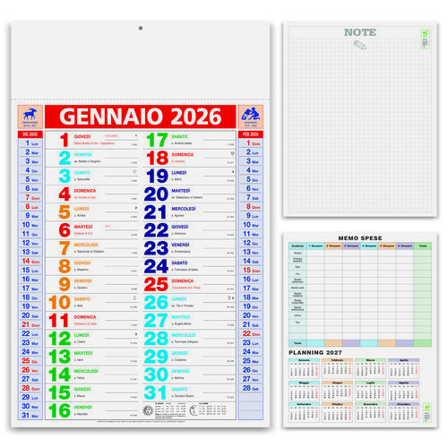 OLANDESE MULTICOLOR - MODELLO PA600
