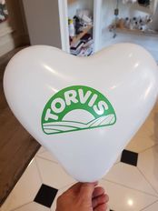 44349785_2312187018811317_9169785679817736192_n.jp...